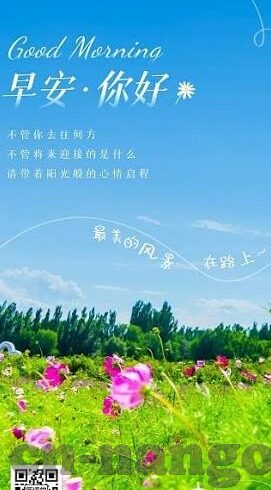 北京足球比分-北京足球比分,绿茵场上的荣耀与梦想交织