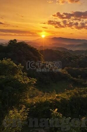 德国甲级足球比分直播-从屏幕到绿茵场，解码德国甲级足球比分直播背后的激情与科技