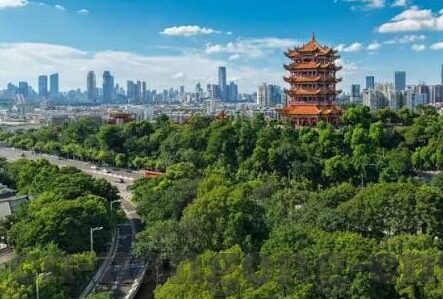 今天利物浦足球比分-今日赛场风云，利物浦足球比分背后的激情与悬念