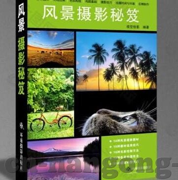 体育足球比分-体育足球比分，激情与数据的交响曲