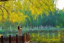 土甲足球比分-深度解析，土甲足球比分背后的战术博弈与联赛生态
