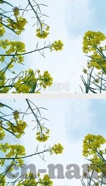 足球比分直播366-足球比分直播366，球迷的实时观赛新体验