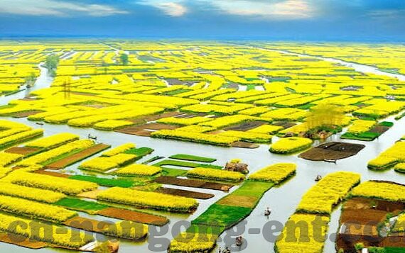 足球各大联赛比赛比分-绿茵烽火，深度剖析足球各大联赛最新比分背后的战术博弈与豪门风云
