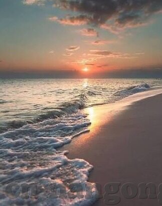 足球竞技比分网-揭秘足球竞技比分网，数据背后的激情与策略